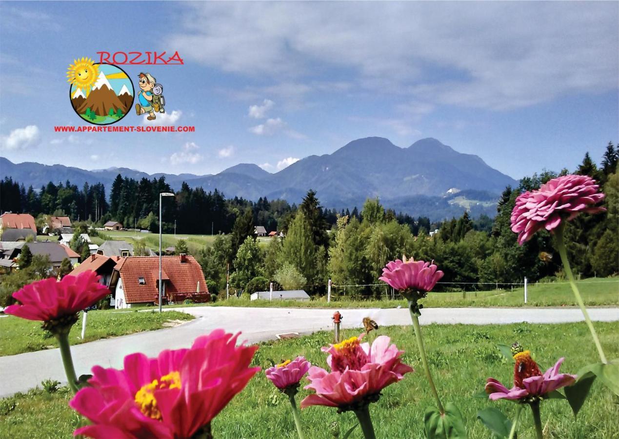 Apartment Rozika Slovenj Gradec Bagian luar foto